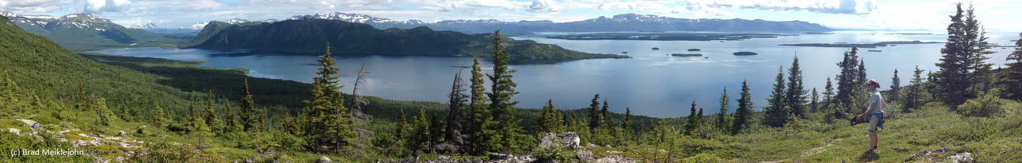 Lake Illiamna