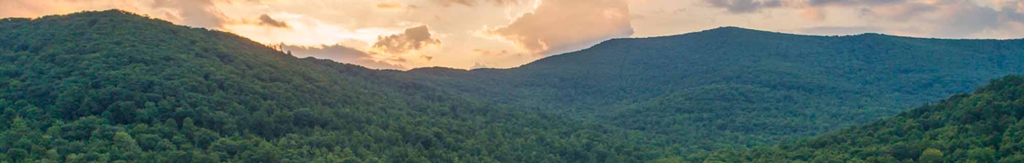 Working Forest Fund Cowee Forest VT