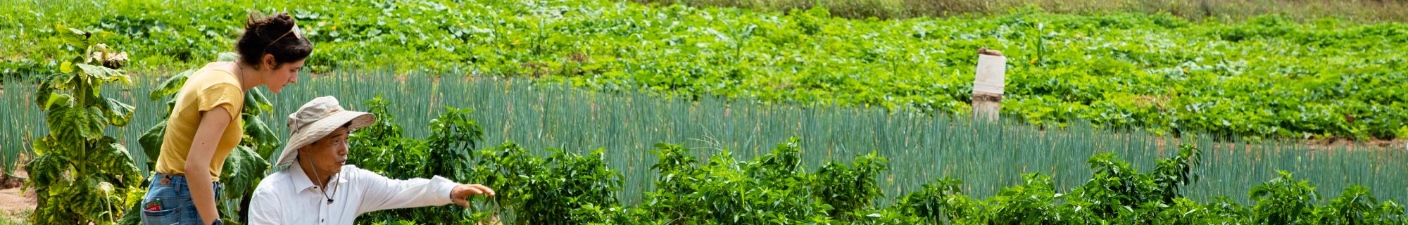 Working Farms Fund banner