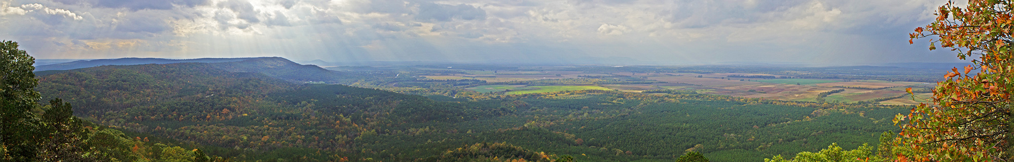 The Conservation Fund Arkansas copy copy