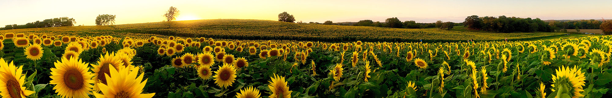 The Conservation Fund Kansas copy