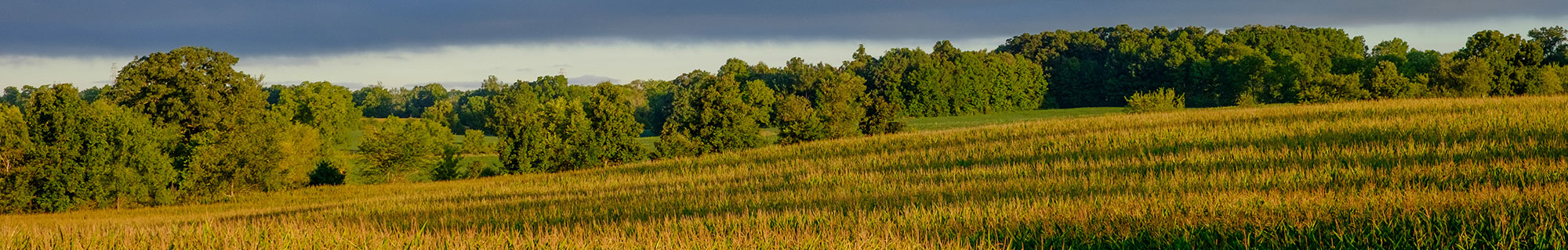 The Conservation Fund Michigan