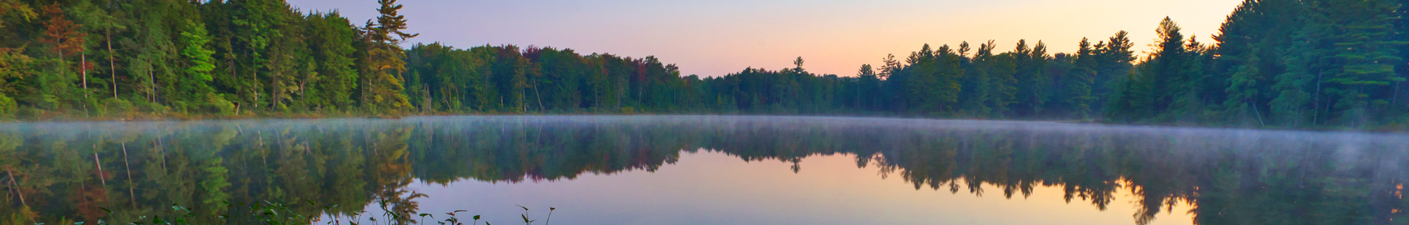 The Conservation Fund New York