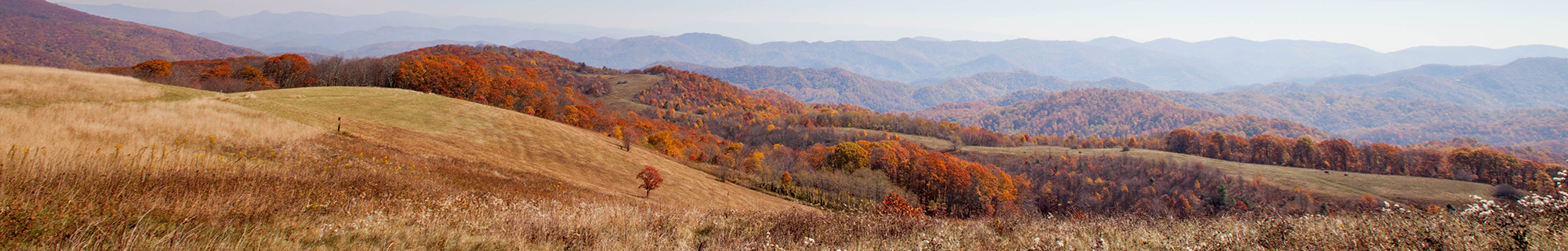 The Conservation Fund North Carolina