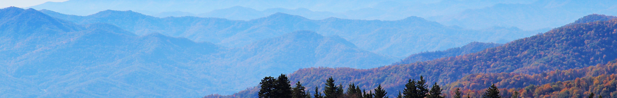 The Conservation Fund Tennessee copy