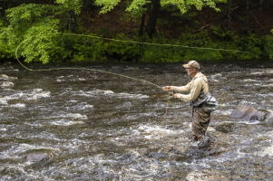 Plan Your Conservation Legacy