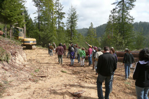 Community members tour logging operations at the Fund’s Big River Forest. Photo by The Conservation Fund.