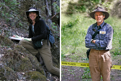 Botanists at Our North Coast Forests