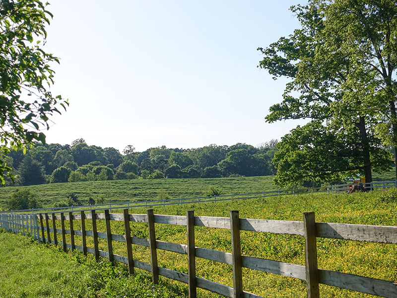 farmlandscape