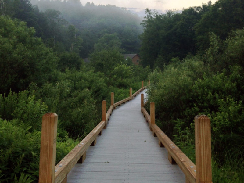 Preserving the Appalachian Trail Experience in Virginia and Vermont edit