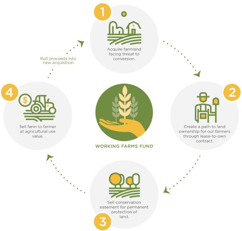 Working Farms Fund illustration