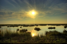 Blackwater marsh sunrise copyright Nikographer 500x333