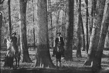 Boggy Slough hardwoods 1907 American Lumberman 302 JA Massengill c the history center
