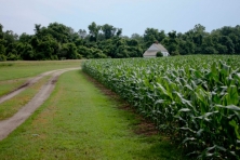 Camden Farm slave quarters Chita Middleton 645x430 600x400