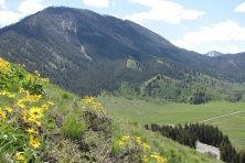 WY Poison Creek Bridger Teton NF Luke Lynch 645x430