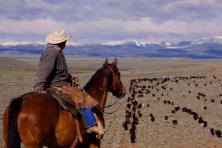 wyoming cottonwood ranch mark gocke wy game fish 500