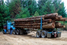CA Forest Big River truck 2012 14 Flanagan TCF 645x4301