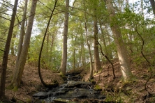 Fiery Gizzard trail TN Dept of AG 0013 645x430