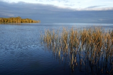 LA wetlands Maurepas WMA Sean Gardner 12 645x430