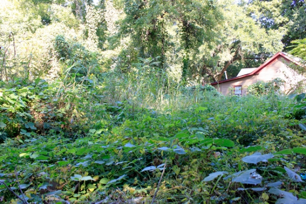 Lindsay Oliver Park site 1 645x430 c Whitney Flanagan Lindsay Oliver Park site 1 645x430 c Whitney Flanagan