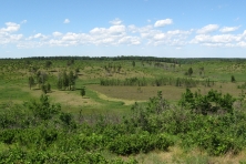 Namekagon Barrens c WI DNR 645x430