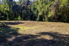 TCF Lindsay St Park Cleanup c Stacy Funderburke 645x430