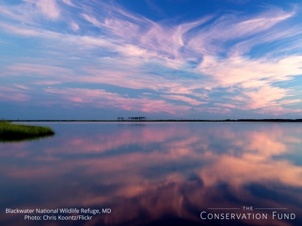 wallpaper Blackwater NWR sea sky chris koontz flickr 1600 600x450 wallpaper Blackwater NWR sea sky chris koontz flickr 1600 600x450