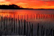 wallpaper Blackwater NWR sunrise nikographer 1600 600x450