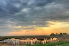 wallpaper Blackwater NWR wetlands Nikographer 1600 600x450