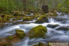 Rocky Fork Greg Hutson 500x400