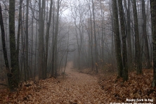 Rocky Fork fog Greg Huston 500x400