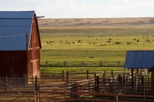 WY Budd Ranches barn Mark Gocke 2010 04 645x430