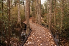 big thicket trail Scott Jones Flickr 645x430 600x400