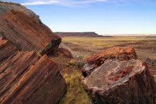 petrified forest arizona expansion nps 645x430