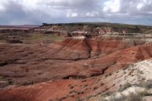 petrified forest arizona landscape amy fry flickr 645x430
