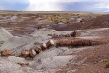 petrified forest arizona log landscape Amy Watson Flickr 645x430