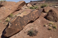 petrified forest petroglyphs nps 645x430