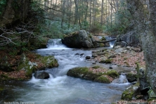 wallpaper rocky fork greg hutson 1600 600x450