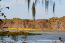 Heroes GoZero Lake Ophelia NWR Sean Gardner 500x333