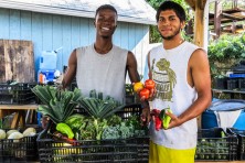 Gardening in the Community