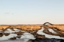 Adapting to Climate Change at Blackwater National Wildlife 1