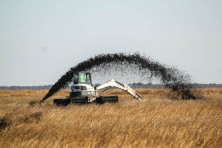 Adapting to Climate Change at Blackwater National Wildlife Refuge 2