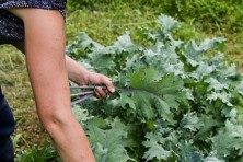 Blue Ridge Women in Agriculture 4