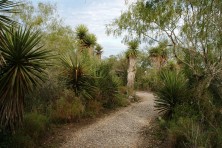 Cameron County TX Green Infrastructure  Gallery 3 617 1000 1000 100