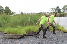 Marsh Replanting  c DagnyLeonard TheConservationFund 2480