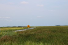 Marsh Replanting  c DagnyLeonard TheConservationFund 2674