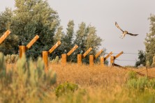 Minidoka National Historic Site ID  c  Richard Hannon1