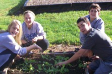 Start a school garden