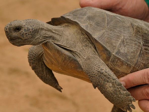 edited Coastal Headwaters Forest Florida FL 4 22 2019 Working Forest FundBruce Graner edited Coastal Headwaters Forest Florida FL 4 22 2019 Working Forest FundBruce Graner