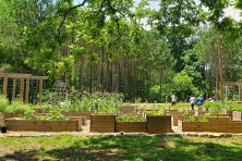 Atlanta Food Forest 1